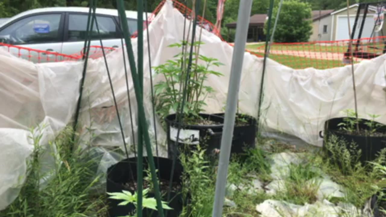 Communists are cow killers p. 3 book asshoe James Comey …search… higher payoff…