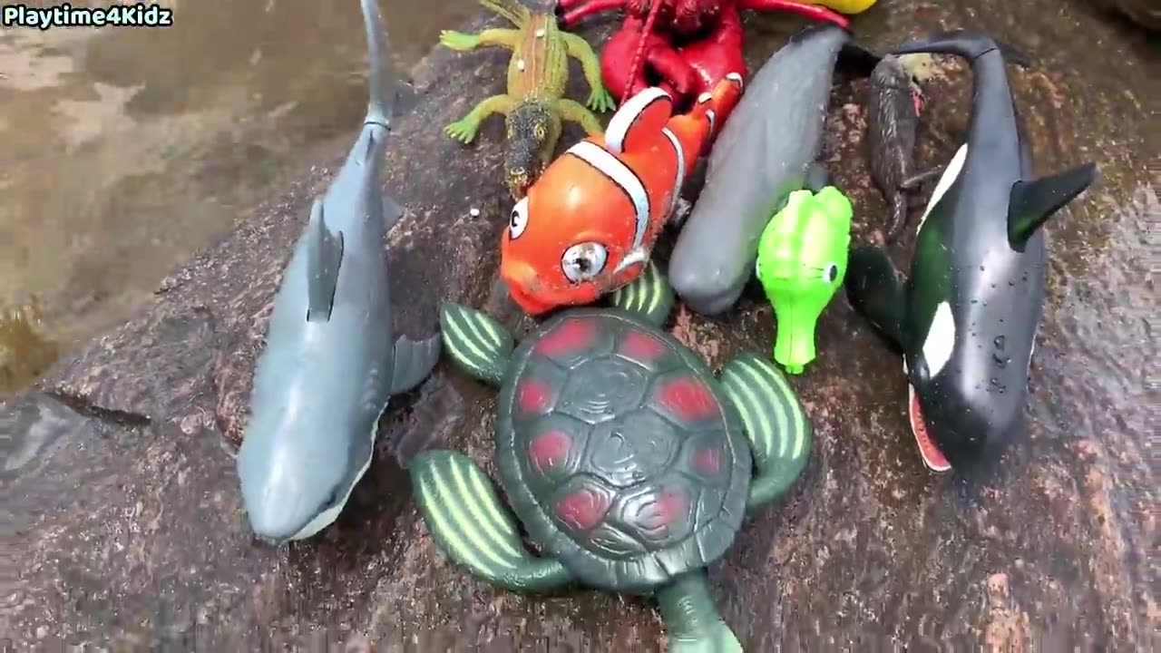 Sea Animal Toys This Summer at the Shore