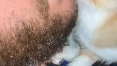 CAT DRINK ON LIPS