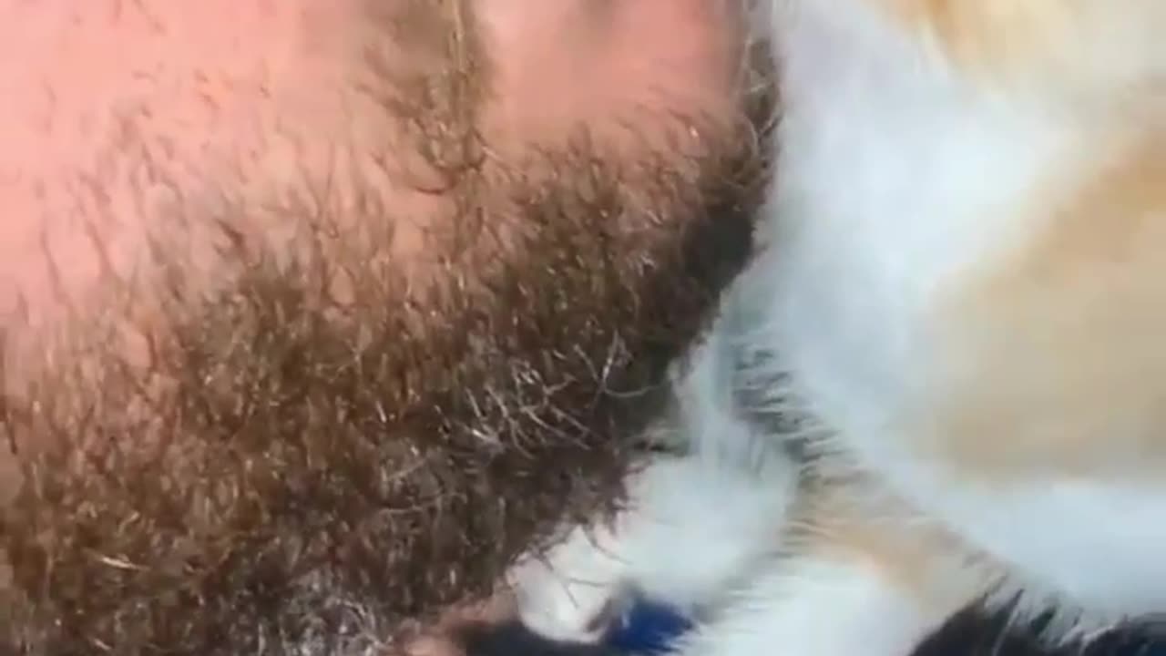 CAT DRINK ON LIPS
