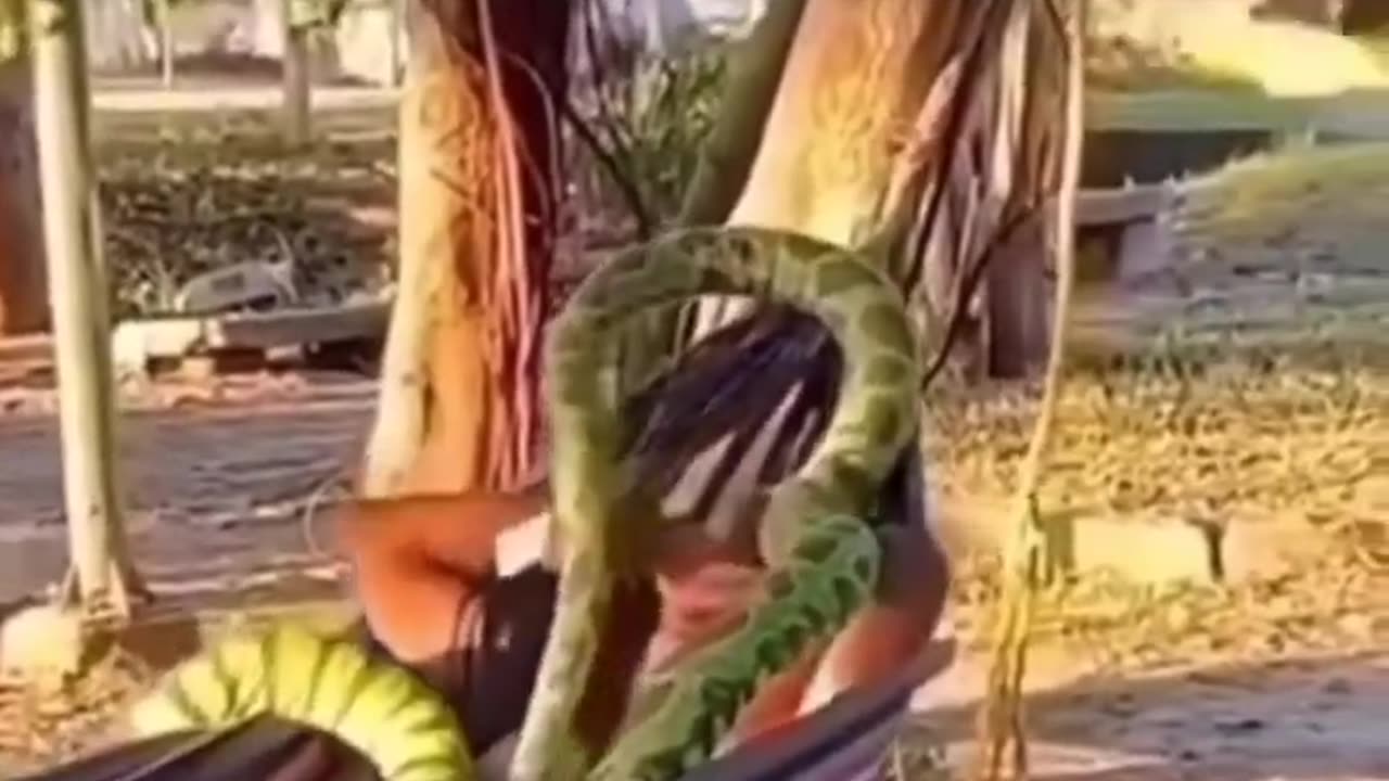 Fake Snake Prank