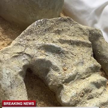 Alien Cake🤡🤡🤡