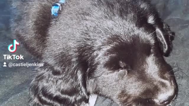 My buddy
