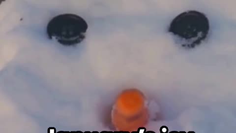 Snowy Dreams of Baseball