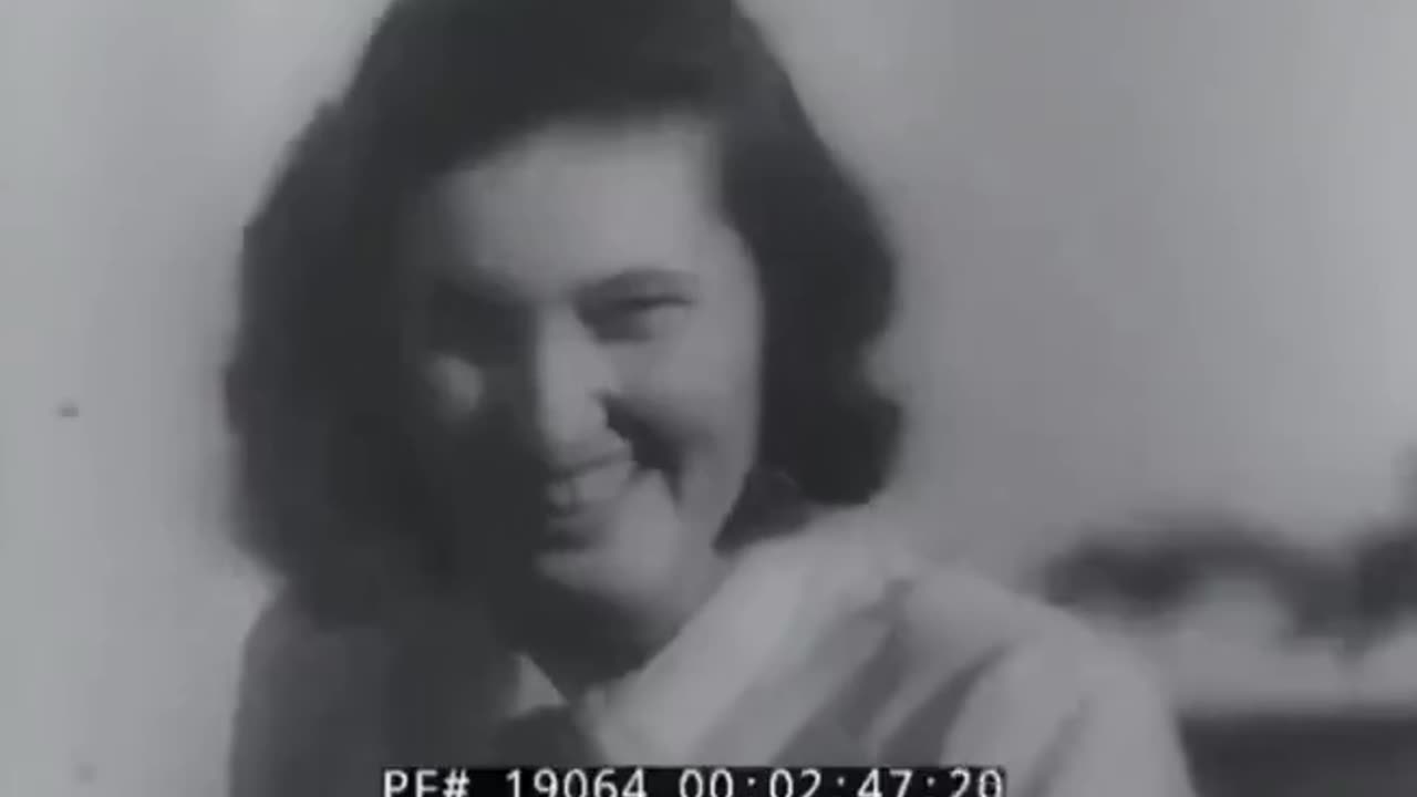 Auschwitz - As It Really Was
