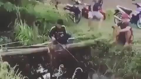 This is a beautiful and charming water-dwelling species