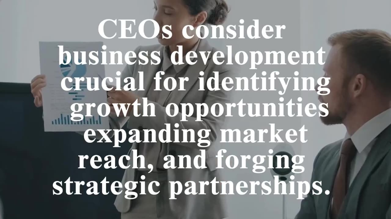 CEO Executive Leadership: Business Development