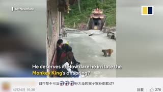 Monkey takes revenge after being pushed into pond