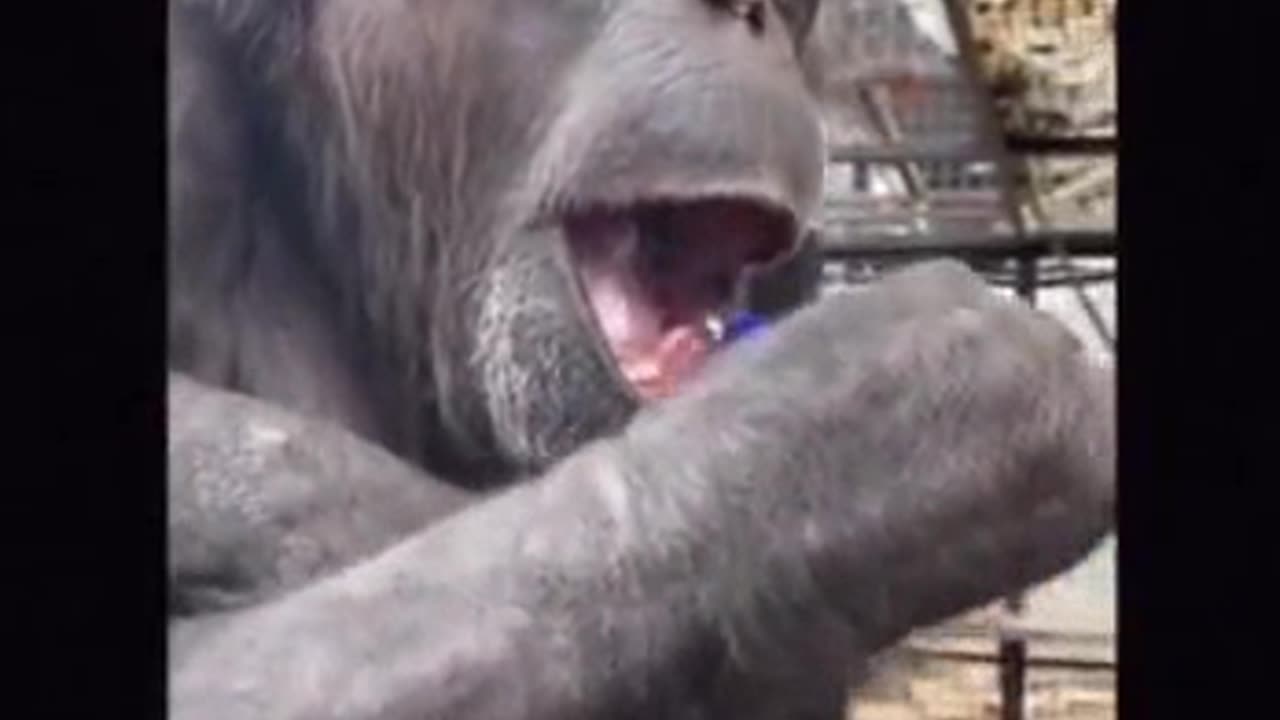 Good Hygiene