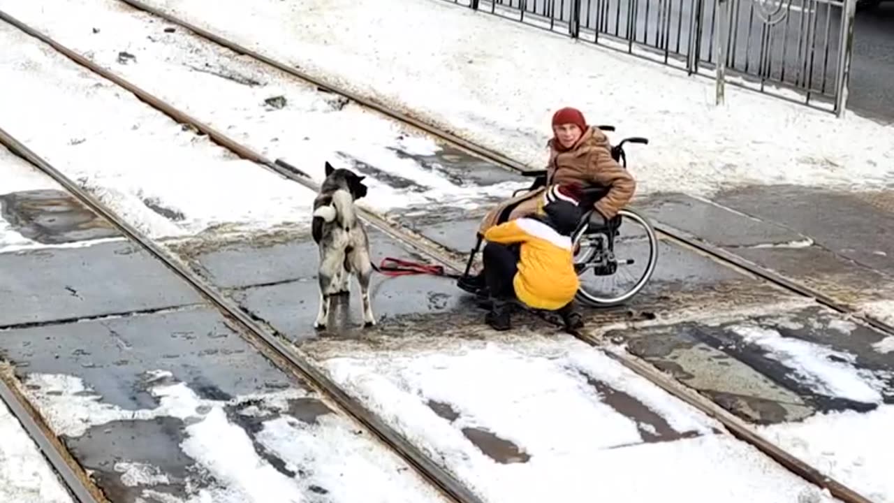 👏 The boy and his dog helped the old lady in the wheelchair