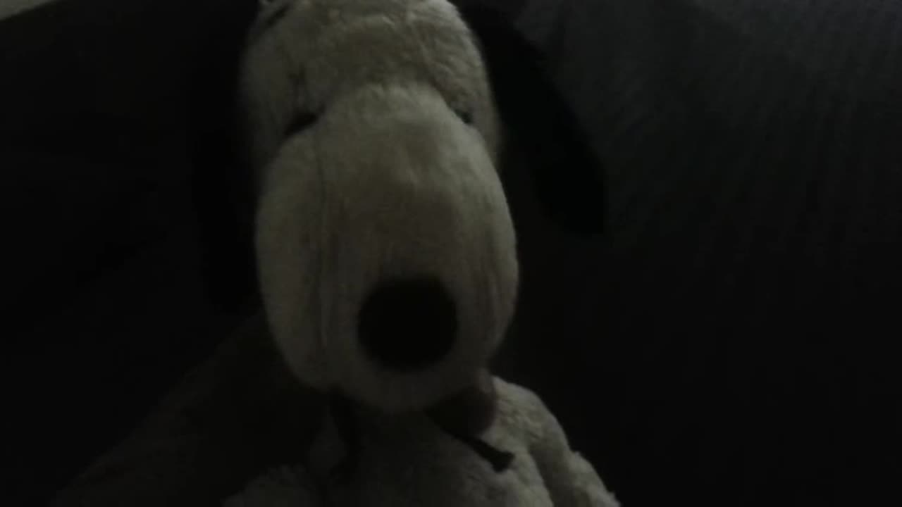 ANIMAL PLUSH ADVENTURES EPISODE 101