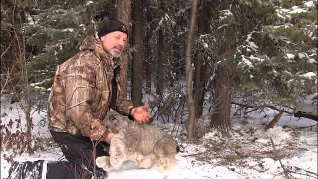Trapping Inc Season 1 Episode 12 Lynx!