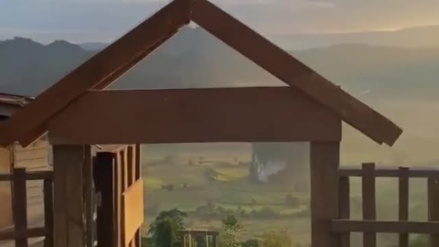 and he watched its