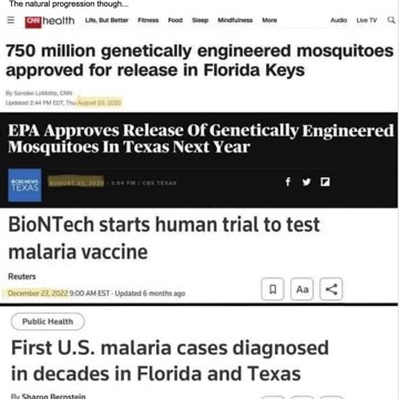 1 + 1 = Eugenics > "Gates Mosquito"