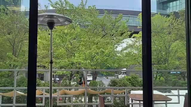Looking at the wind at the cafe