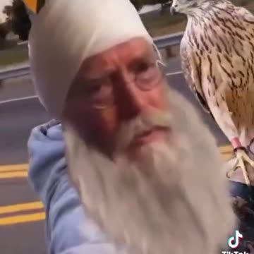 Mr. Parrot Vibin🦜