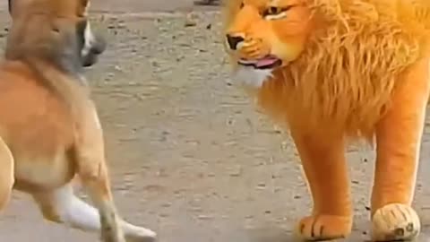 Funny dog video ||funny prank on dog || fake lion prank ||fake tiger prank || Ep-1