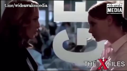 TV script, become reality??? How much on the tube, comes true?