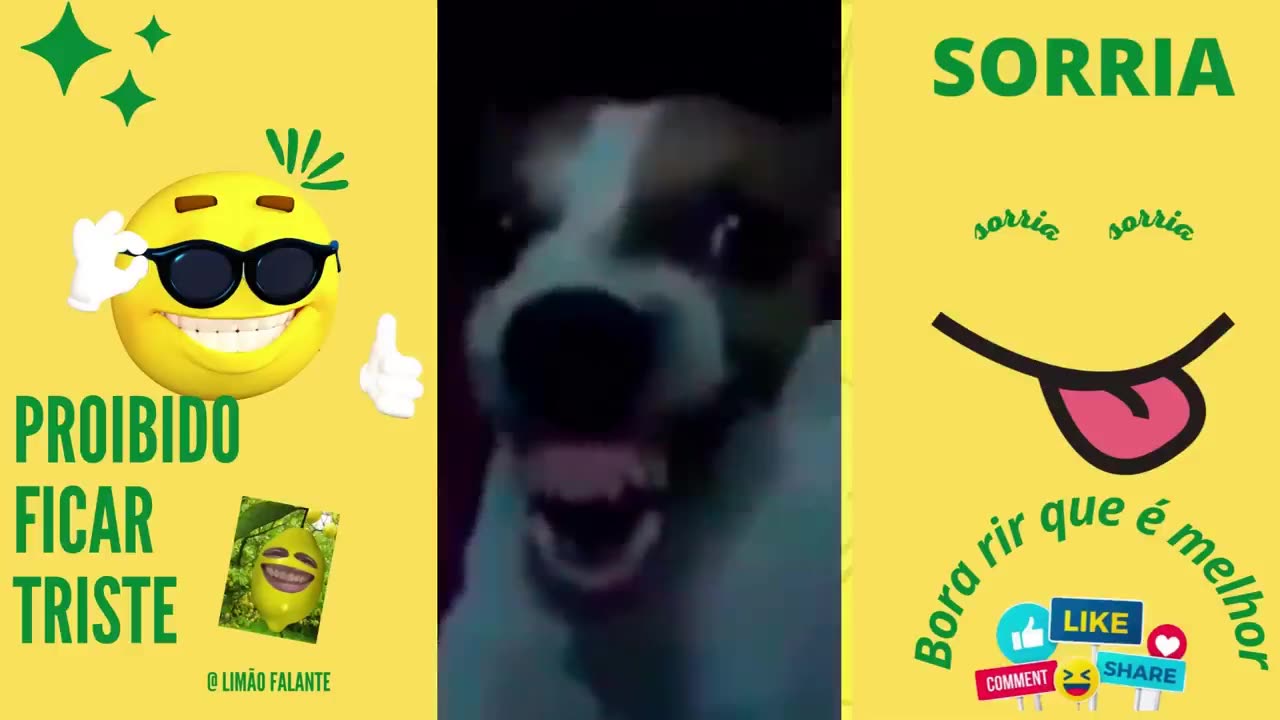 BORA NOS DIVERTIR QUE É MELHOR - DIVERTA -SE COM AGENTE COM VÍDEOS PARA SEU ENTRETENIMENTO #comedia