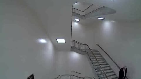 3149RHOB01Stair4_2021-01-06_11h20min03s167ms.mp4