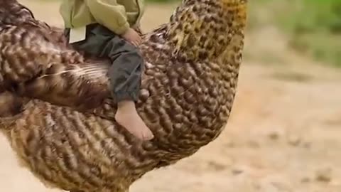 Beautiful Child Fun With Cute Animal