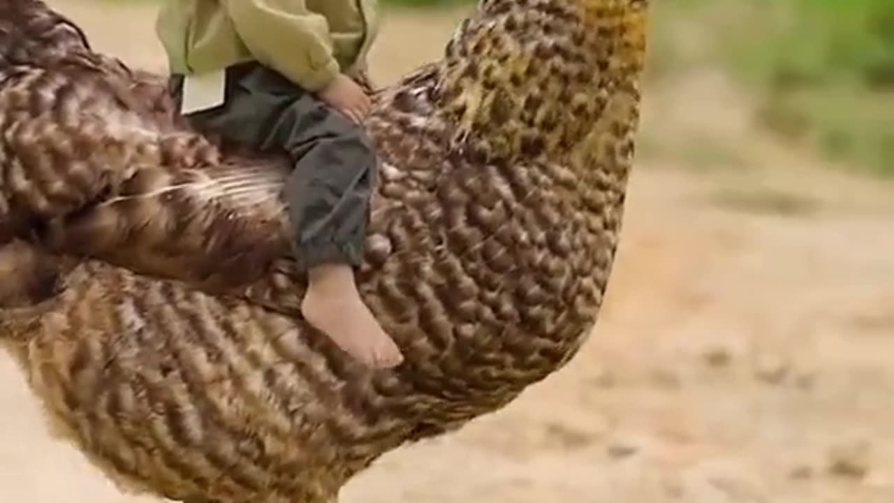 Beautiful Child Fun With Cute Animal