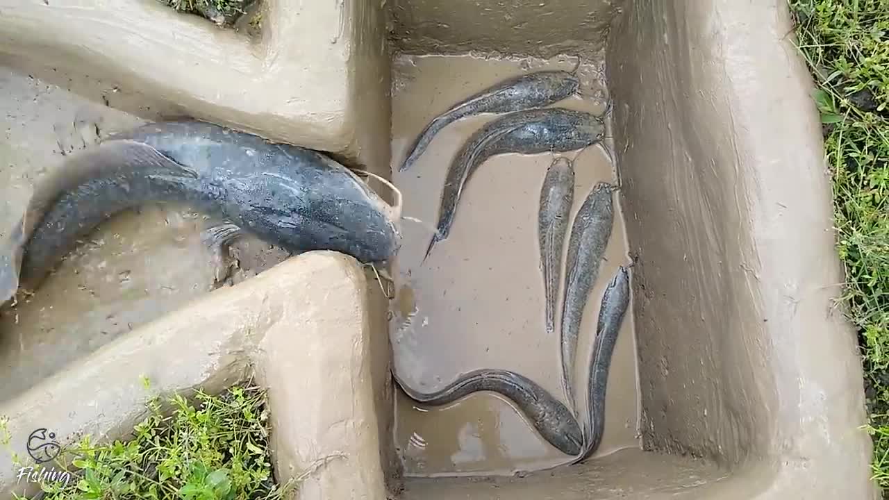 Amazing Hole Fish Trap- Smart Boy Build Fish Trap By Muddy soil ..
