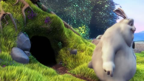 enimal video