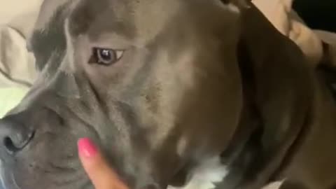 Watch till the end🖕🖕🖕😀😀😀😀