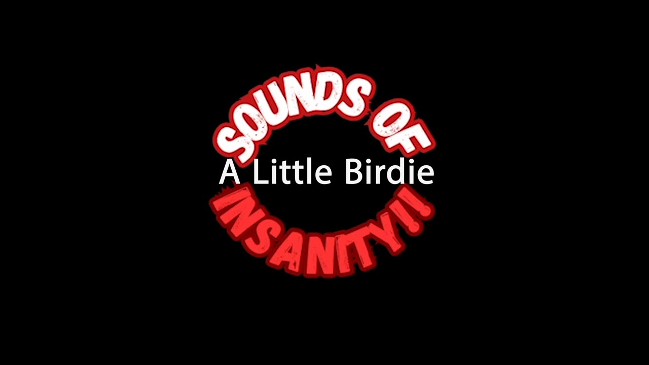 A Little Birdie Demo by Sounds Of Insanity