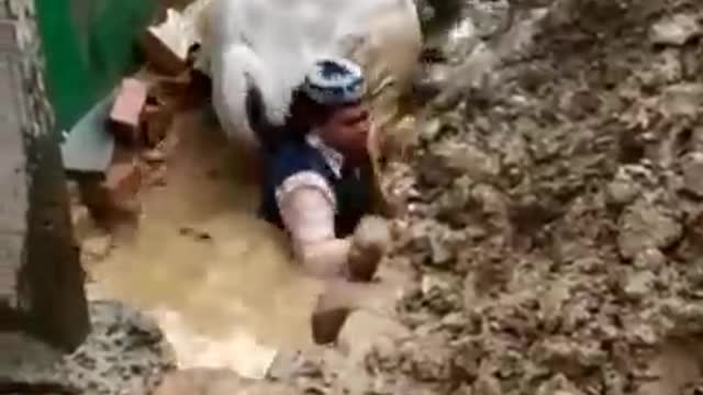 waaoa
