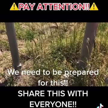 Ravenshoe, Australia Setting Up Control Blockades For The Next Phase Of The Agenda