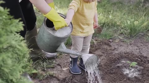 Home Gardening