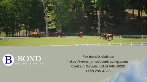 Thoroughbred Trainer