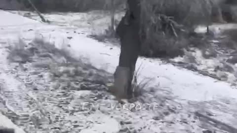 2 Russian Tanks driving through Popasnaya