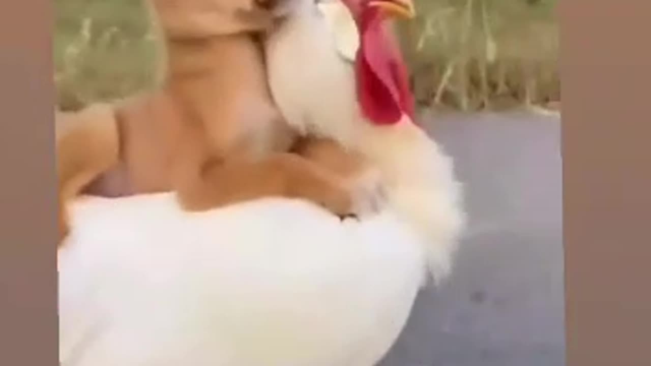 Kutty and puppy