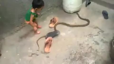 Funny Videos Of Kids