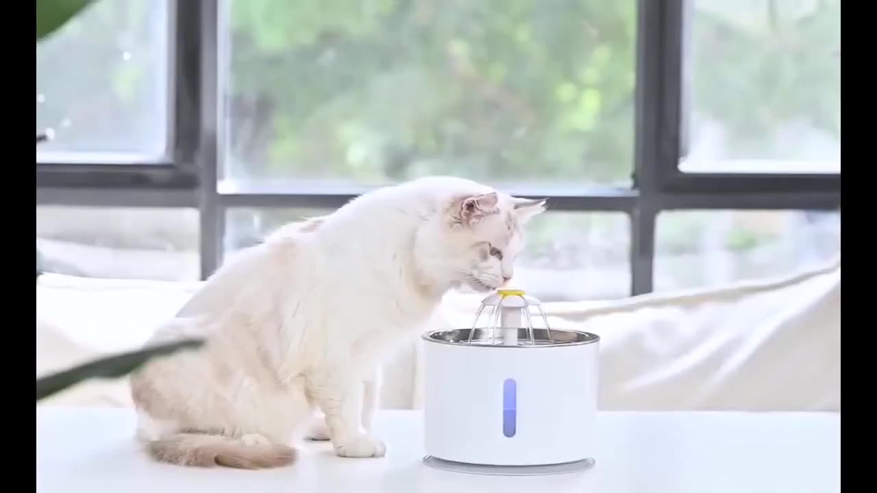 🐱🐱After three years of design, we've created the pet your cat this fountain.