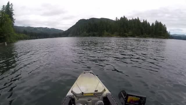 Kokanee Fishing Washington