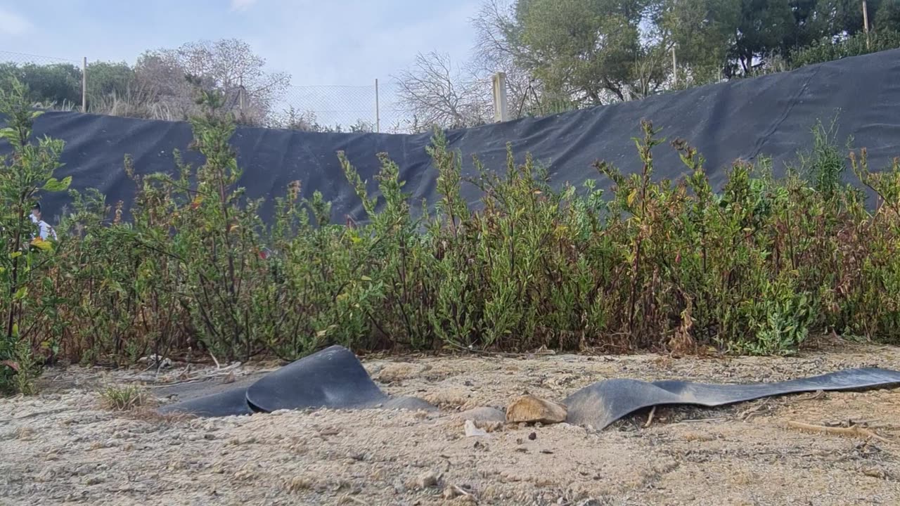 Man Rescues Rabbit From an Abandoned Industrial Site