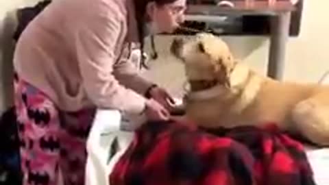 DOG STAYS IN HOSPITAL WITH DAD