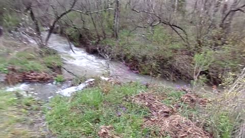 A Different Perspective: Creek Flooded