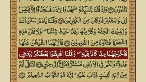 Quran 1 para with urdu translation “part 21„