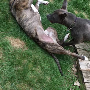 Fun with water outside