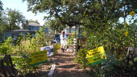 The Most Important Thing That's Probably Missing From Your Backyard