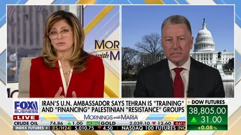 Expert highlights Biden's shocking decision to remove the Houthis from the list of terrorist.