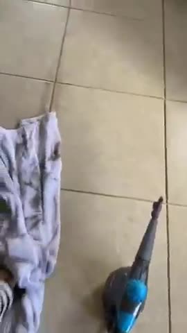 BISSELL SteamShot Hard Surface Steam Cleaner with Natural Sanitization, Multi-Su