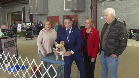 National Dog Show winner makes a stop in Scottsdale