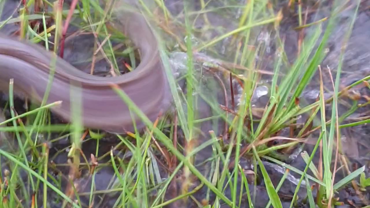fishing in water
