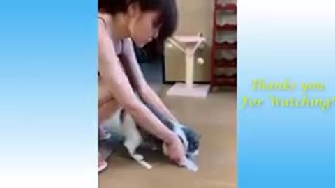 Cute and Funny animals videos